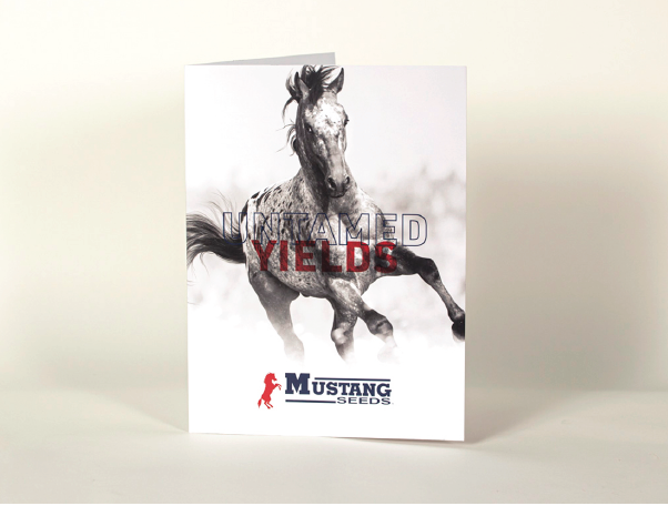 MustangSeeds-01