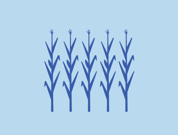 CCF-case study-02