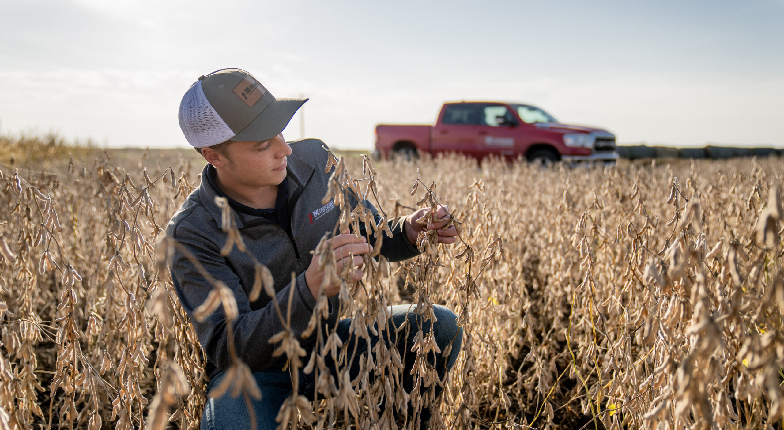 Man In Field
