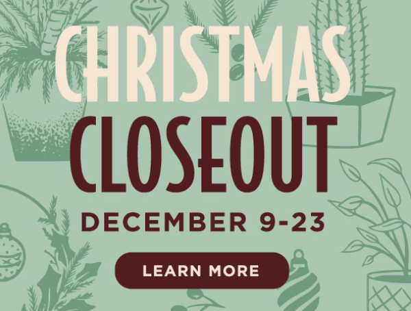 ChristmasCloseout_600x454
